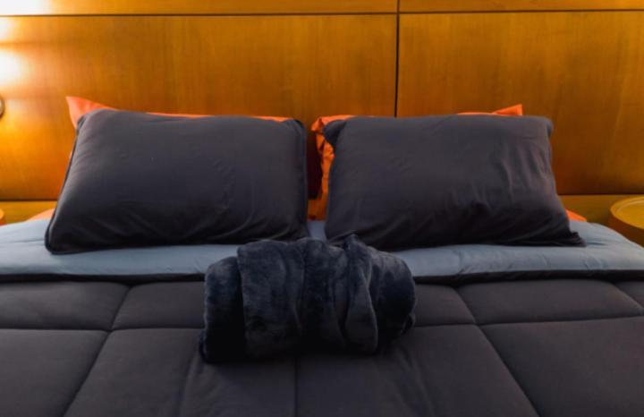 The Best Deluxe - Duplex Studio - Hotel Slav Moema - By Luxxor São Paulo Eksteriør billede
